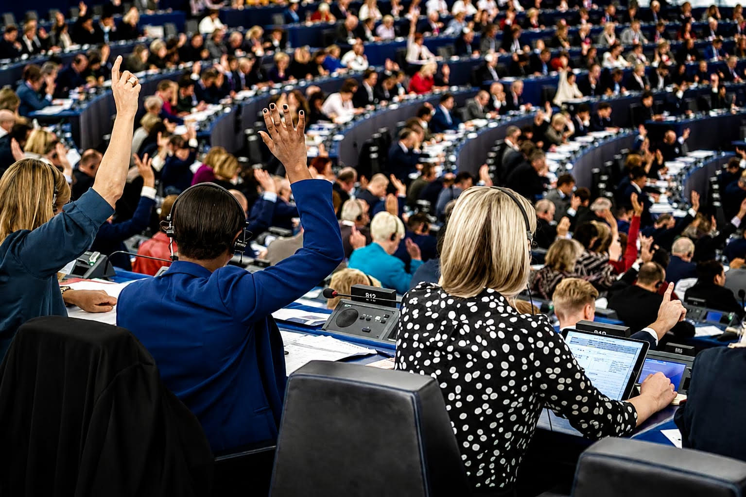 Úvaha k uzneseniu Európskeho parlamentu o budúcnosti živočíšnej výroby